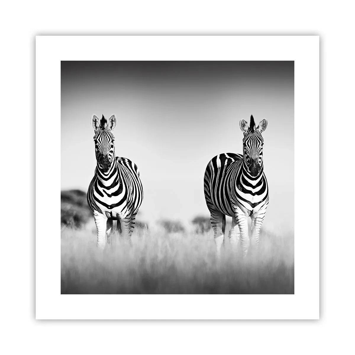 Poster - E tuttavia il mondo è bianco e nero - 40x40 cm