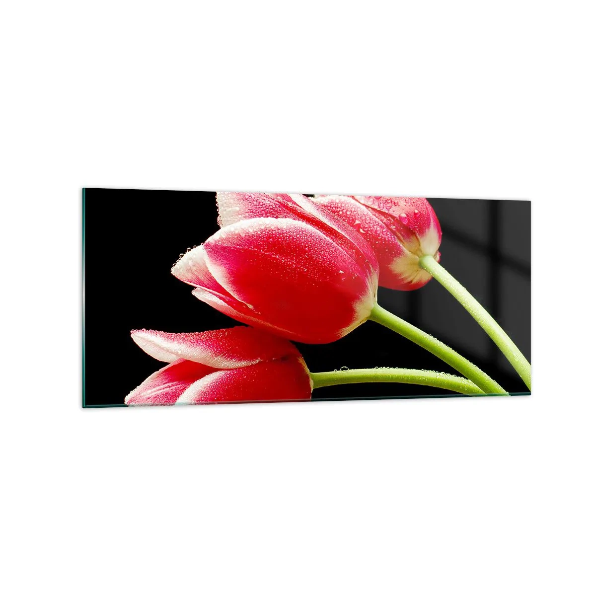 Quadro su vetro - Tulipani rossi con gocce di rugiada su sfondo nero - 120x50cm - Promessa di amore puro - Decorazione murale moderna per soggiorno e camera da letto ARTTOR