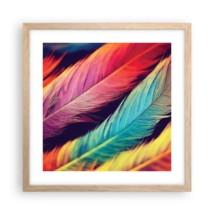 Poster in cornice rovere chiaro - Arcobaleno piumato - 40x40 cm