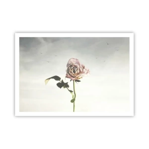 Poster - Una rosa delicata contro un cielo luminoso con uccelli che volano - 100x70cm - Il benvenuto alla primavera - Decorazione murale moderna per soggiorno e camera da letto ARTTOR