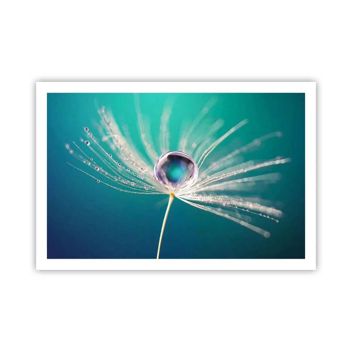 Poster - Attimo mistico - 91x61 cm