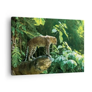 Quadro su tela - Stampe su Tela - Un leopardo in piedi su una roccia circondato da vegetazione tropicale - 70x50cm - A caccia? - Decorazione murale moderna per soggiorno e camera da letto ARTTOR