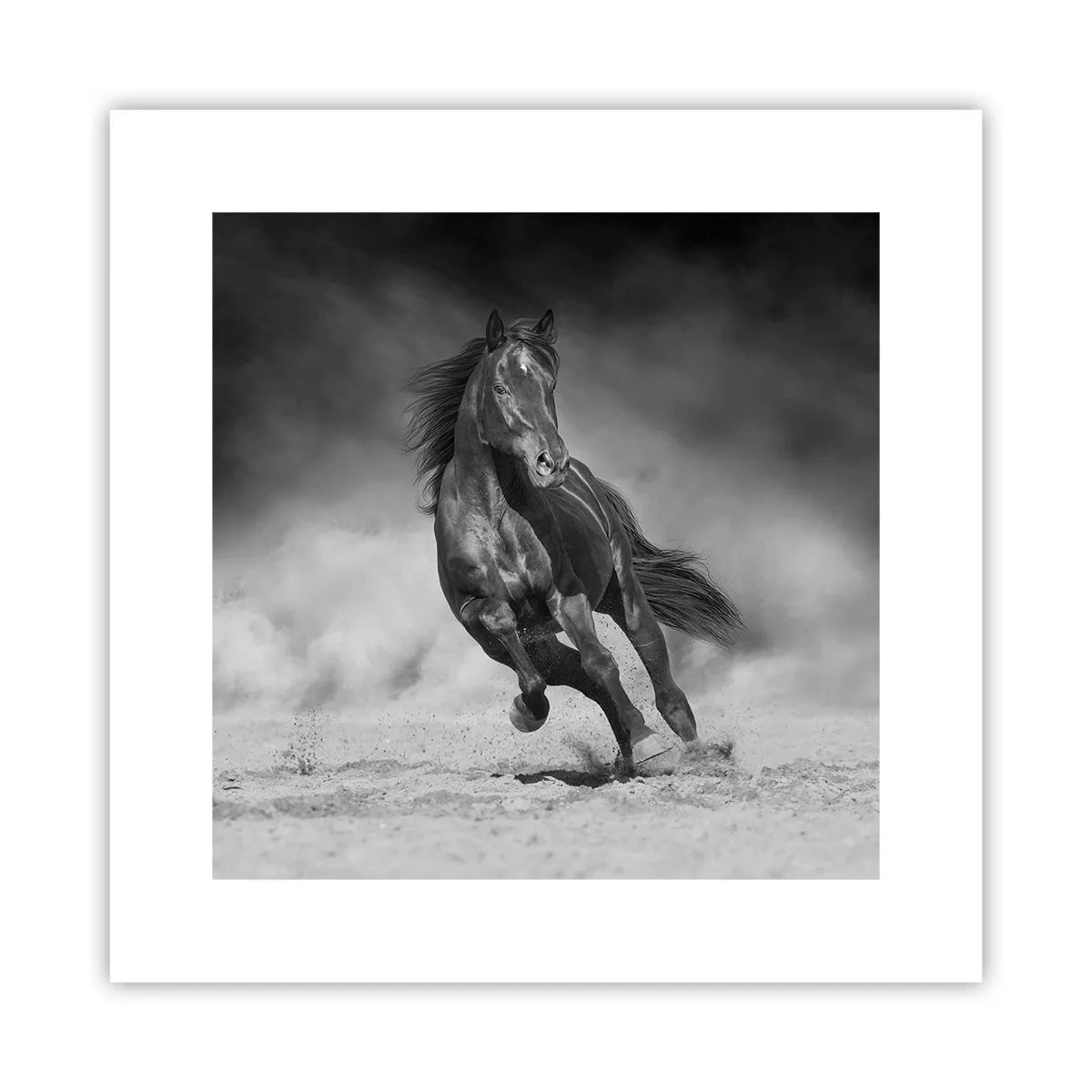 Poster - Degno dell'emiro - 30x30 cm