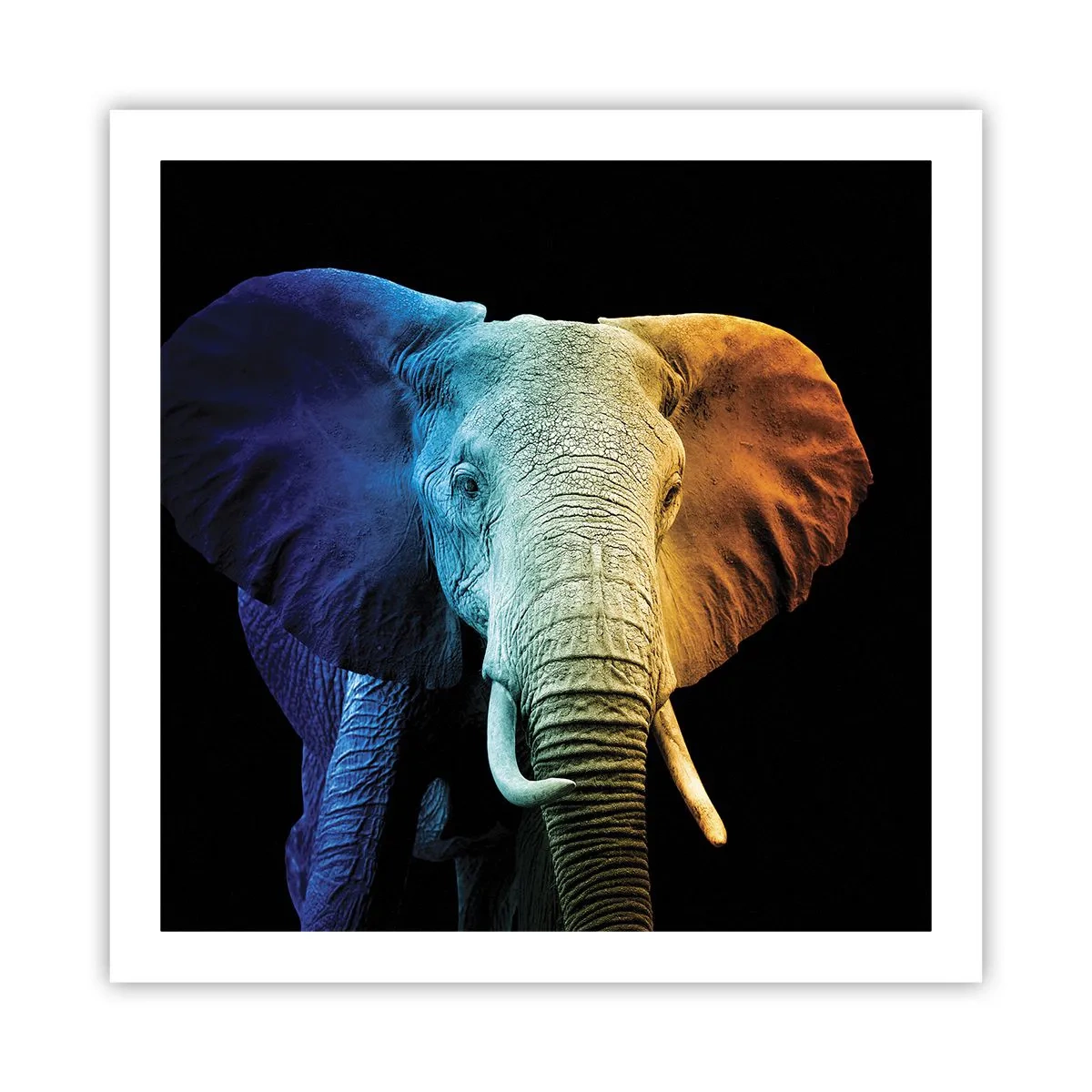 Poster - Eccentrico, non strano - 60x60 cm