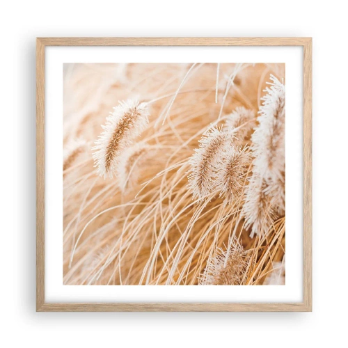 Poster in cornice rovere chiaro - Il fruscio dorato dell'erba - 50x50 cm