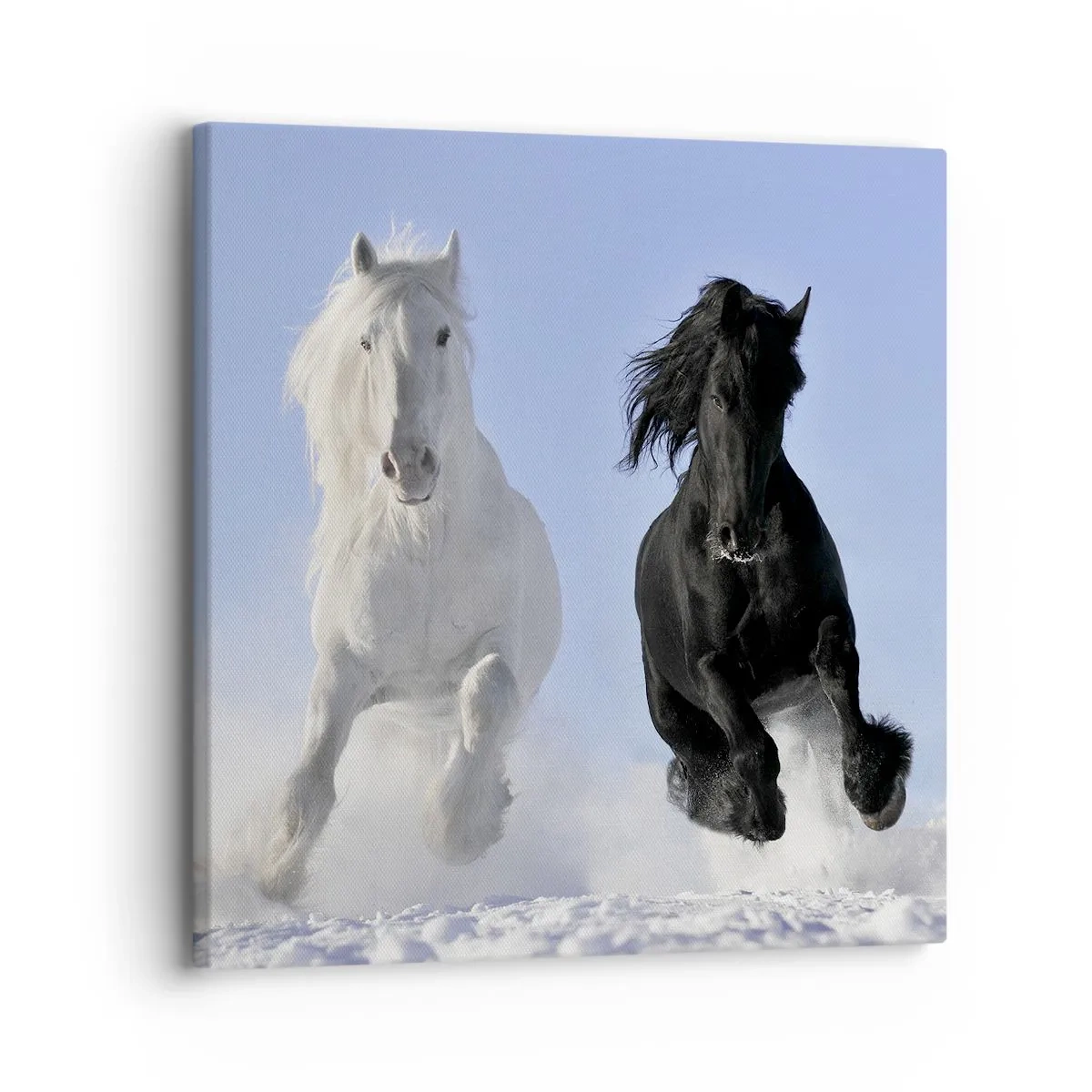 Quadro su tela - Stampe su Tela - Galoppo in bianco e nero - 30x30 cm
