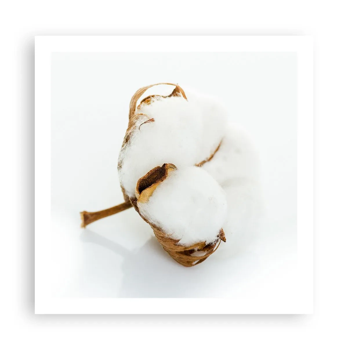 Poster - Naturalmente morbido - 60x60 cm