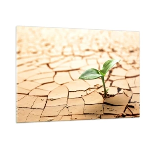 Quadro su vetro - Una giovane pianta che cresce da una terra secca e screpolata - 120x80cm - L'indomita forza della vita - Decorazione murale moderna per soggiorno e camera da letto ARTTOR