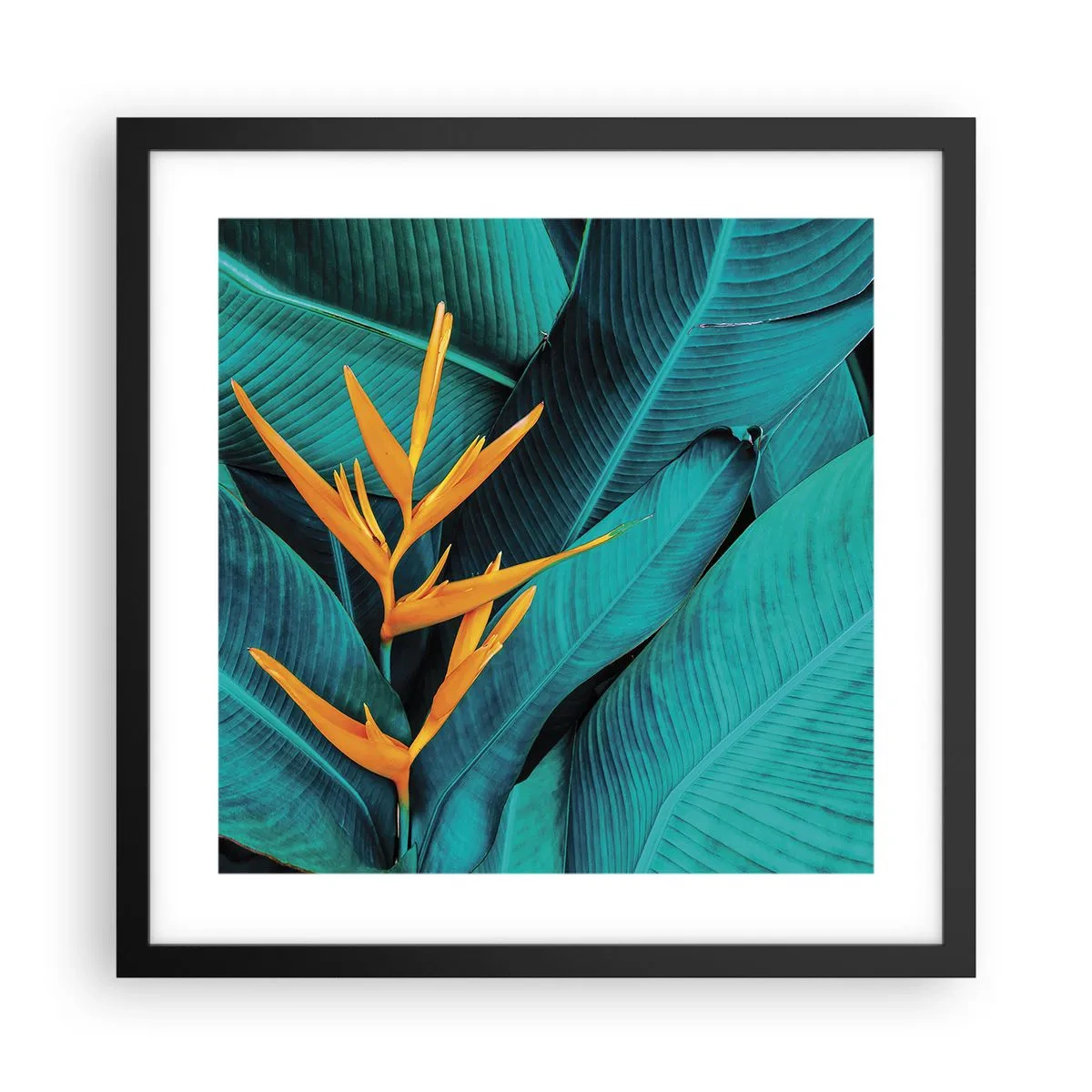 Poster in cornice nera - Il fiore dell'Eden - 40x40 cm