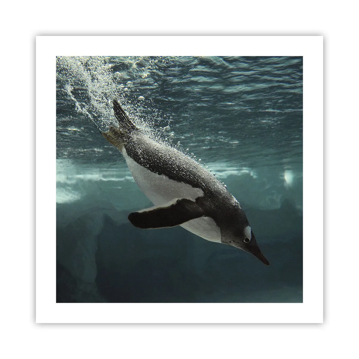 Poster - Benvenuto nel mio mondo - 50x50 cm