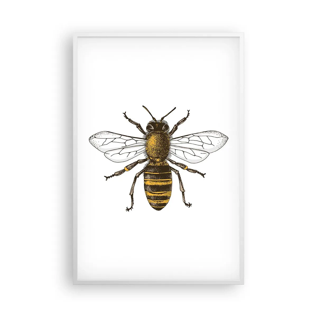 Poster in cornice bianca - Bella e buona - 61x91 cm