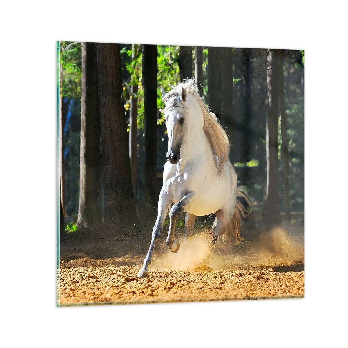 Quadro su vetro - Come nei racconti fantasy - 60x60 cm