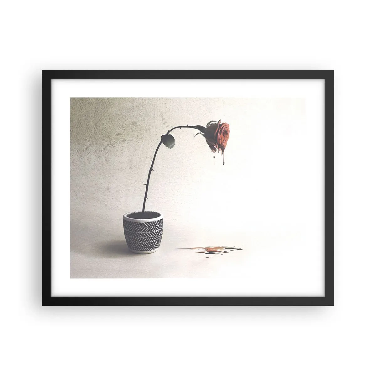 Poster in cornice nera - Rosa dolorosa - 50x40 cm
