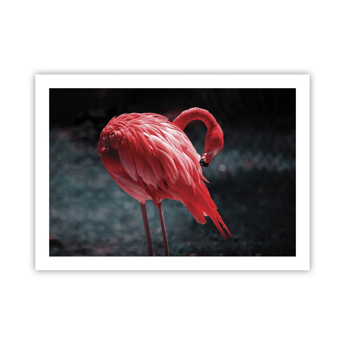 Poster - La poesia cremisi della natura - 70x50 cm