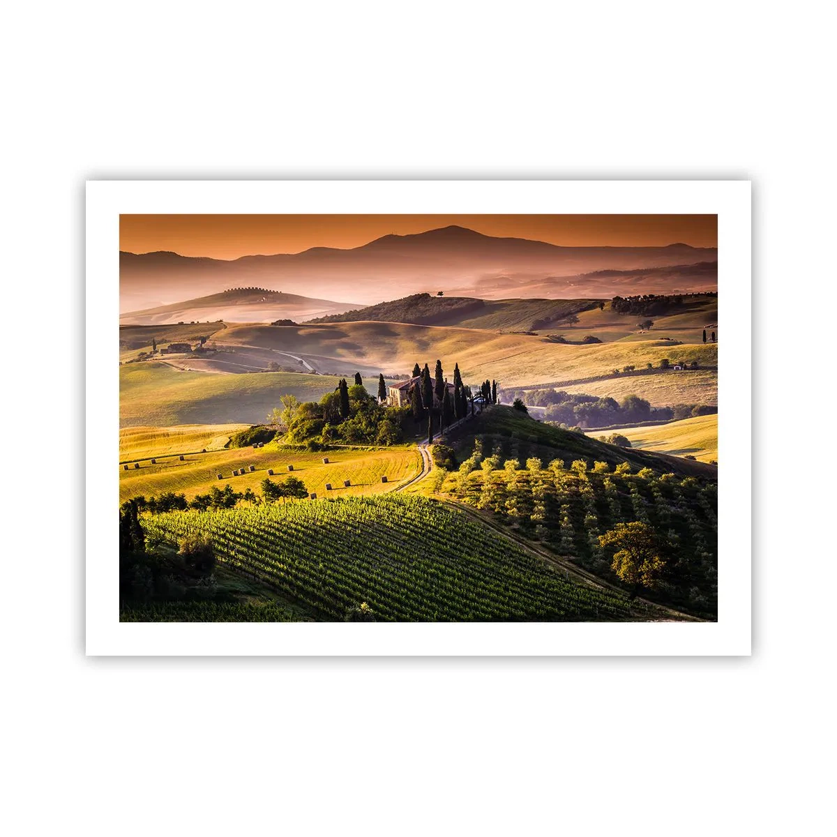 Poster - Arcadia: paesaggio toscano - 70x50 cm