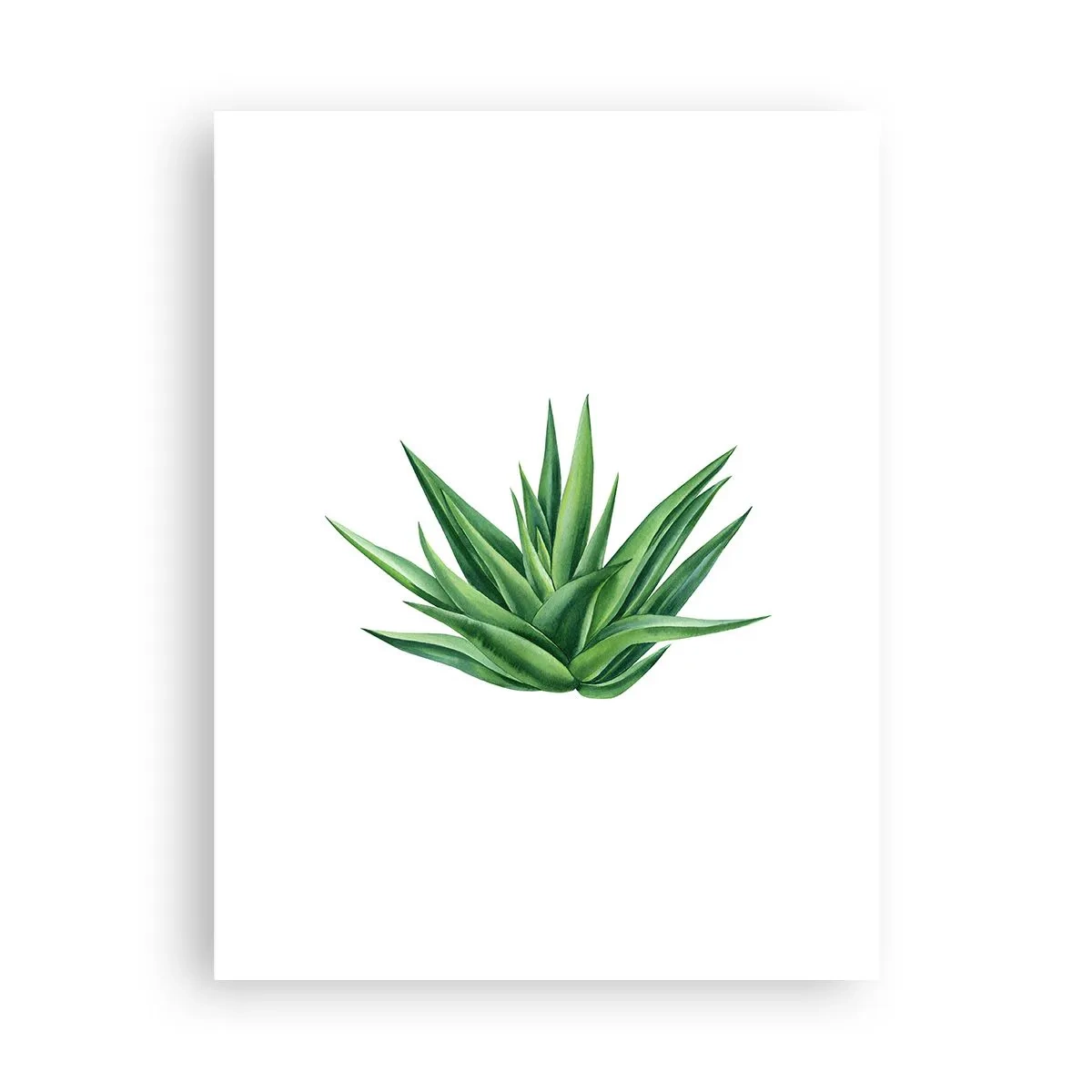 Poster - Verde - forza - vita - 30x40 cm
