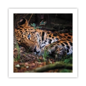 Poster - Fidati di me - 50x50 cm