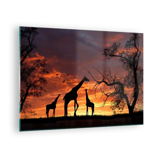 Quadro su vetro - Sagome di giraffe sullo sfondo di un tramonto in un paesaggio africano - 70x50cm - Piccola cena tra amici - Decorazione murale moderna per soggiorno e camera da letto ARTTOR