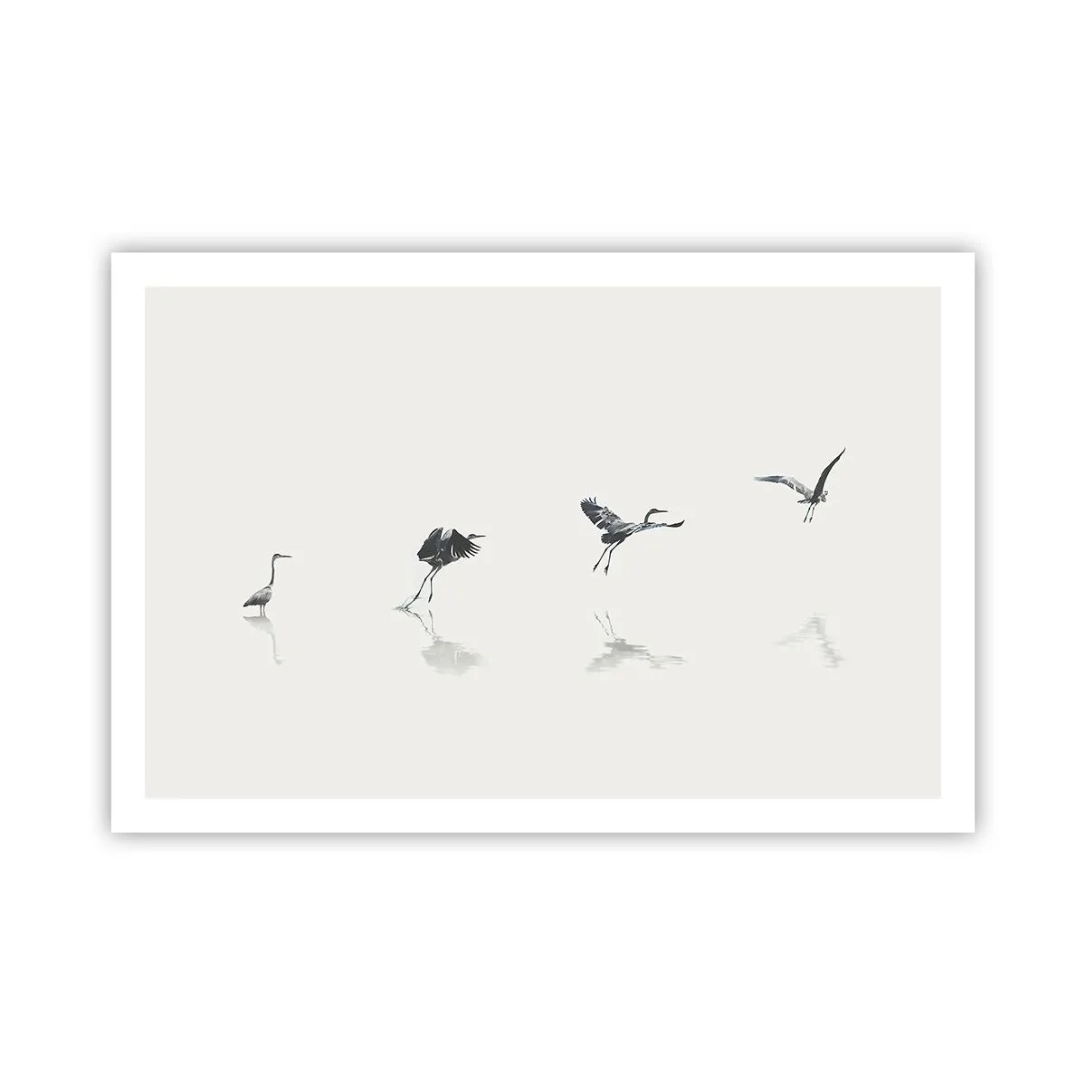 Poster - Quattro semplici passi - 91x61 cm