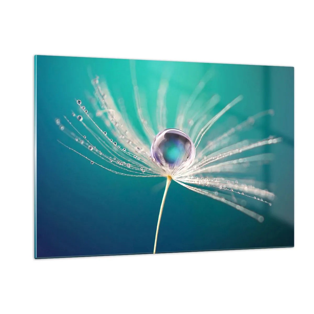 Quadro su vetro - Macrofotografia di un seme di tarassaco con una goccia di rugiada su uno sfondo turchese - 120x80cm - Attimo mistico - Decorazione murale moderna per soggiorno e camera da letto ARTTOR