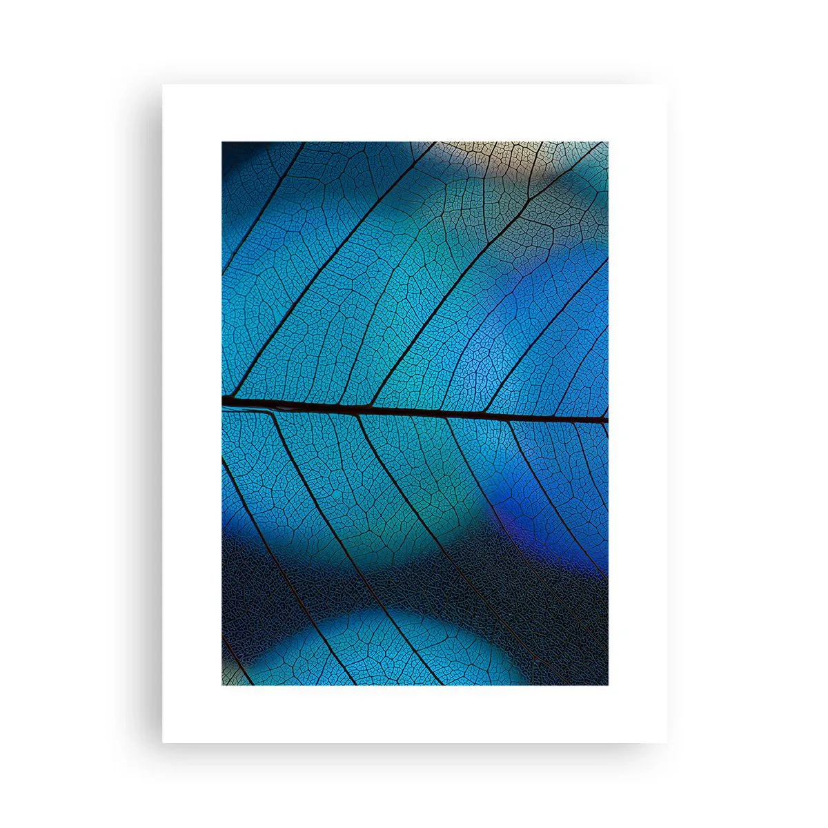 Poster - Struttura intricata - 30x40 cm