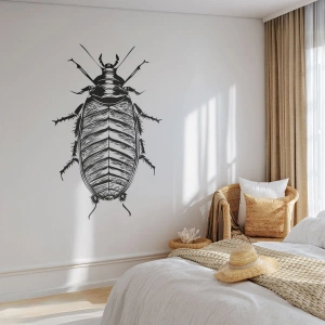 Fotomurali Premium Sand - Che esemplare! - Insetto, Scarafaggio, Minimalismo - 450x315 cm