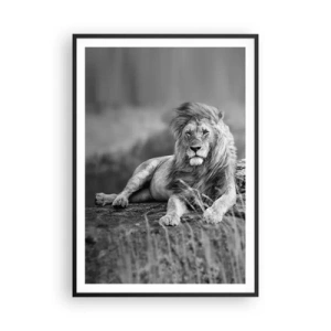 Poster in cornice nera - La siesta del re - 70x100 cm