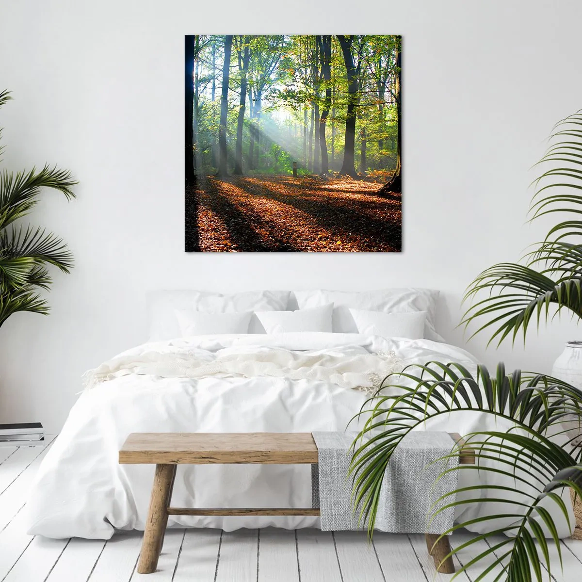 Quadro su tela - Stampe su Tela - Luci e ombre - 30x30 cm