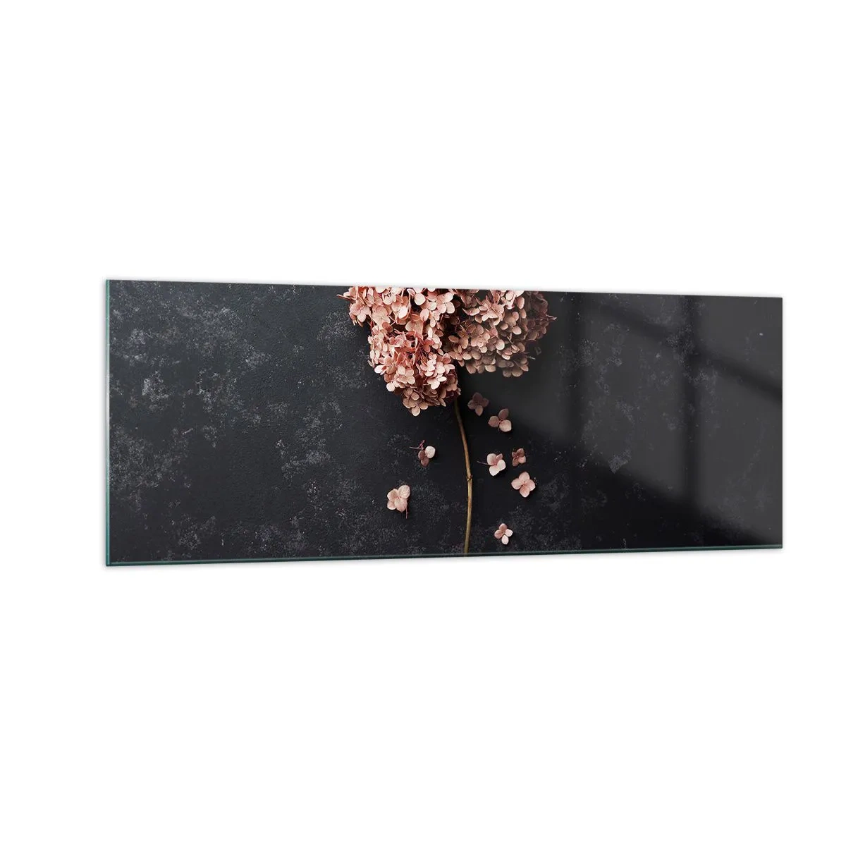 Quadro su vetro - Un delicato fiore di ortensia su uno sfondo scuro - 140x50cm - Un vero segno romantico - Decorazione murale moderna per soggiorno e camera da letto ARTTOR