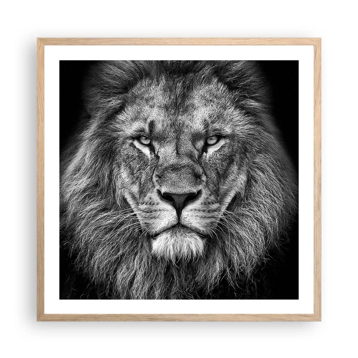 Poster in cornice rovere chiaro - Nell'abito dell'incoronazione - 60x60 cm