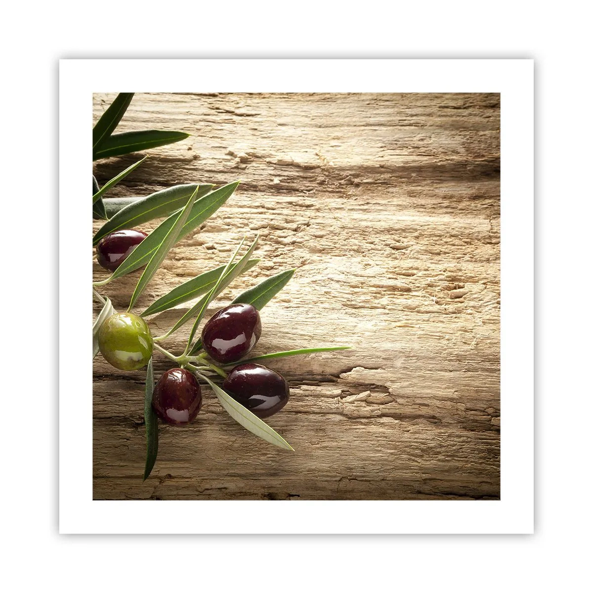 Poster - Direttamente dalla natura - 50x50 cm