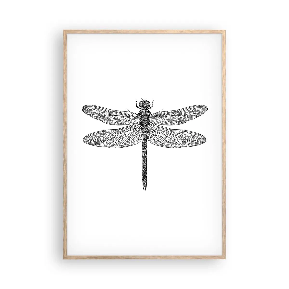 Poster in cornice rovere chiaro - La precisione della natura - 70x100 cm