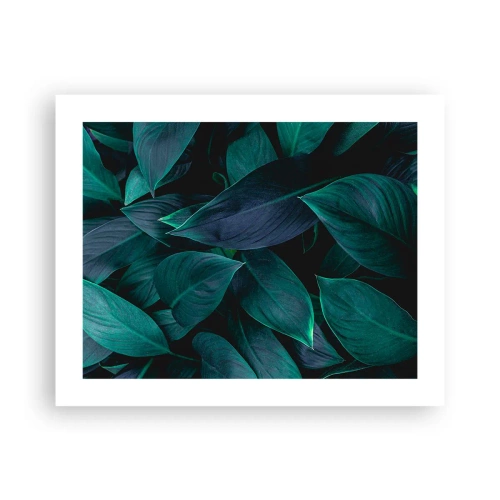 Poster - Il verde puro - 50x40 cm