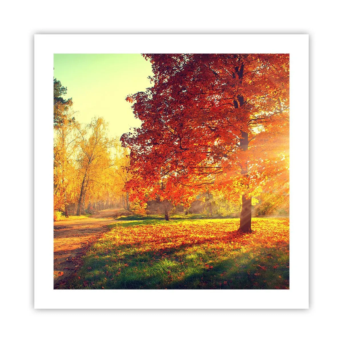 Poster - Rosso è bello - 50x50 cm