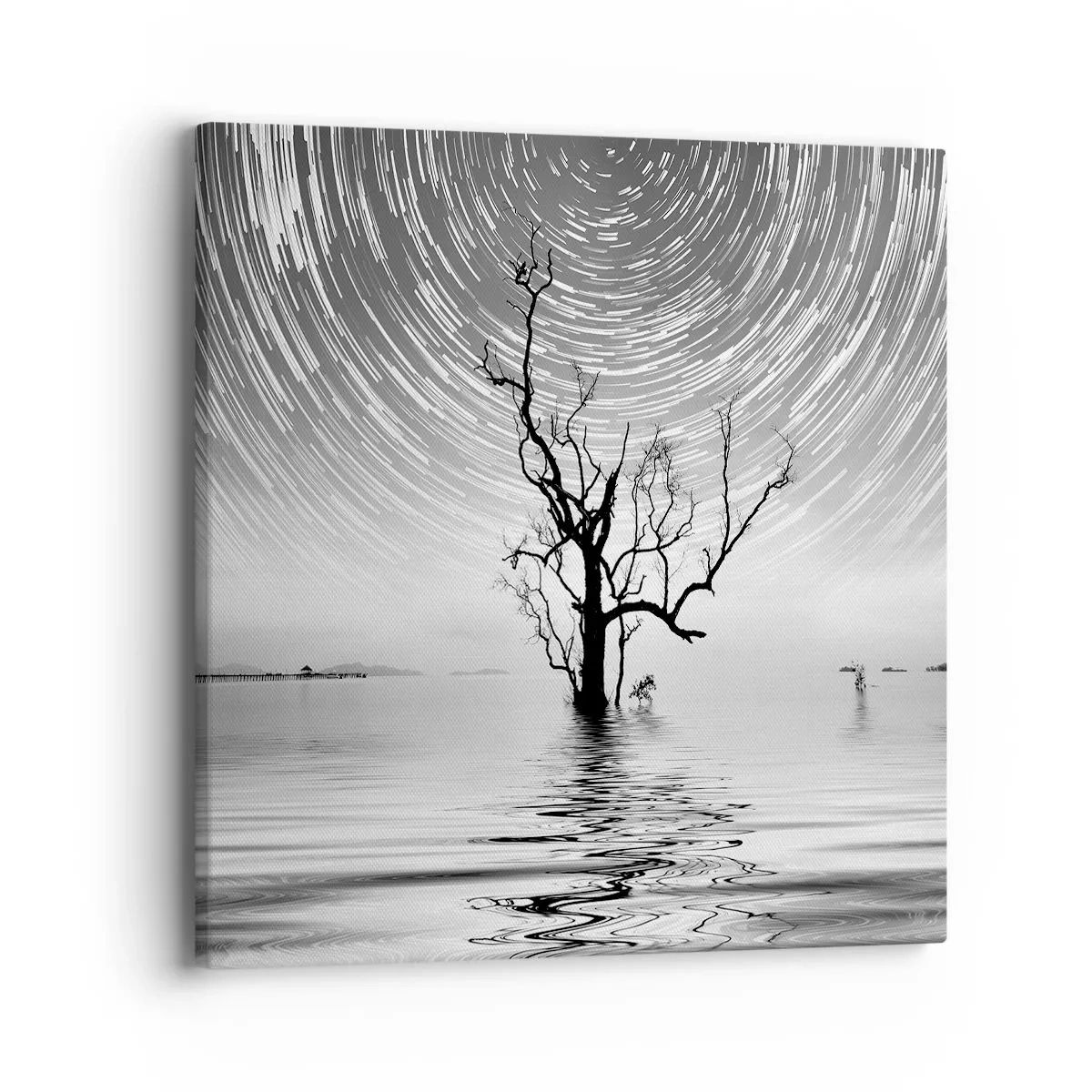 Quadro su tela - Stampe su Tela - Sinfonia della natura - 40x40 cm