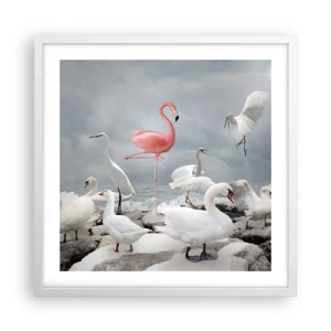 Poster in cornice bianca - Come sono arrivato qui? - 50x50 cm