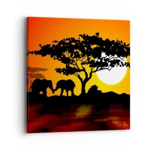 Quadro su tela - Stampe su Tela - Incontro nella savana - 40x40 cm