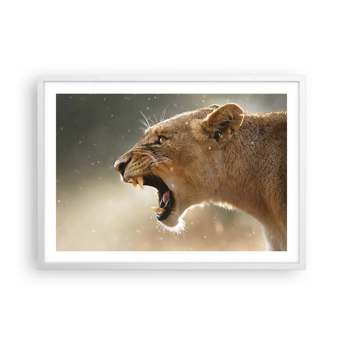 Poster in cornice bianca - Prova a non ascoltare - 70x50 cm