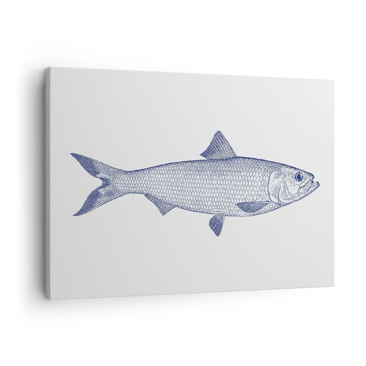 Quadro su tela - Stampe su Tela - Illustrazione di un pesce nei toni del blu su uno sfondo chiaro - 70x50cm - Un saluto dai mari del nord - Decorazione murale moderna per soggiorno e camera da letto ARTTOR