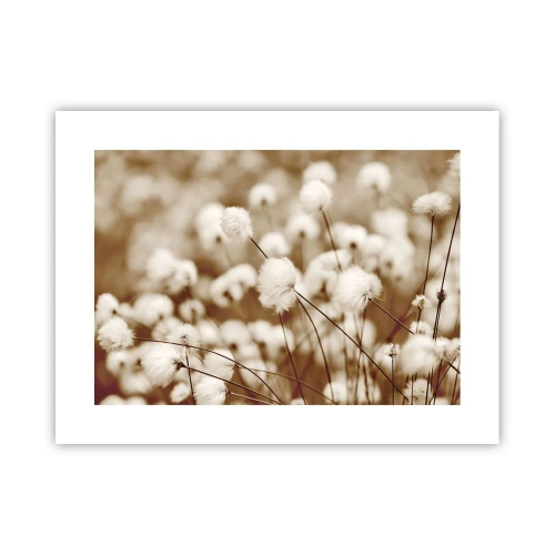 Poster - Campo di morbidezza - 40x30 cm