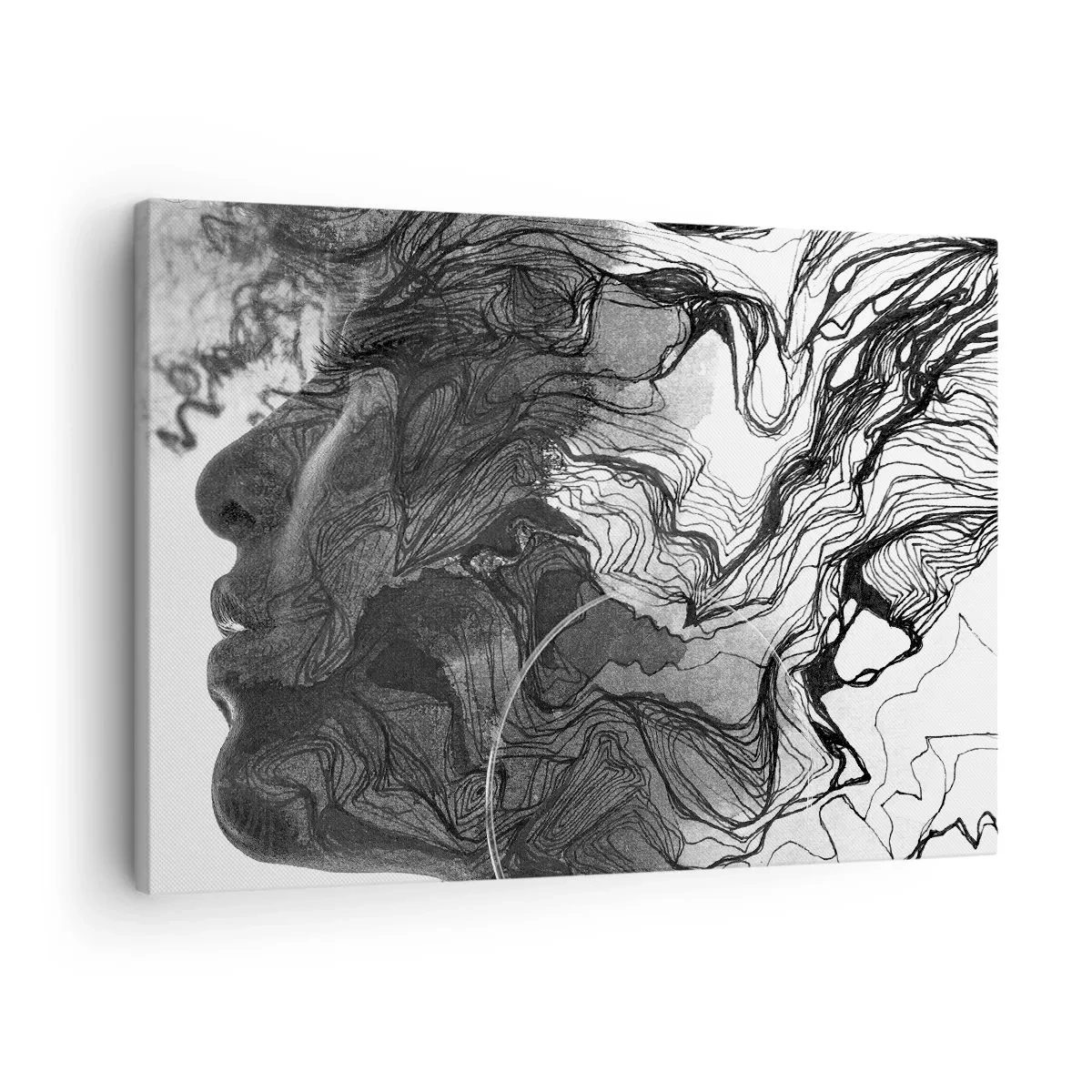 Quadro su tela - Stampe su Tela - Volto astratto in bianco e nero con linee dinamiche. - 70x50cm - Aggrovigliata nei sogni - Decorazione murale moderna per soggiorno e camera da letto ARTTOR