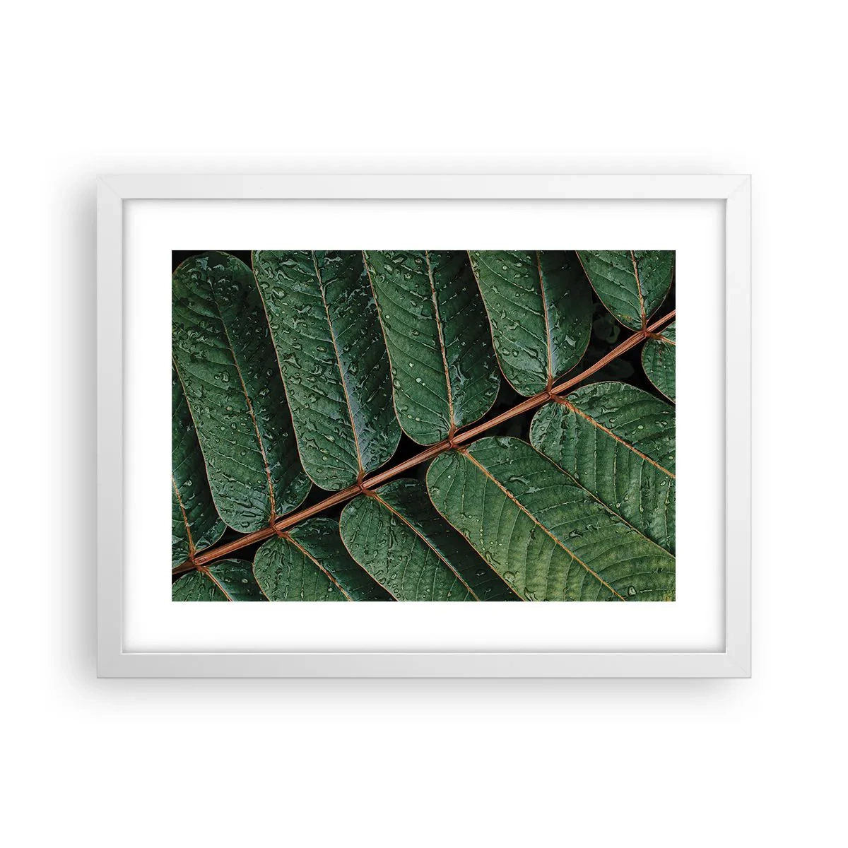 Poster in cornice bianca - Al ritmo verde - 40x30 cm