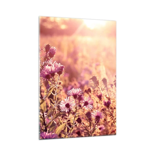 Quadro su vetro - Fiori viola nel prato alla luce del sole al tramonto - 50x70cm - Prima della fine dell'estate - Decorazione murale moderna per soggiorno e camera da letto ARTTOR