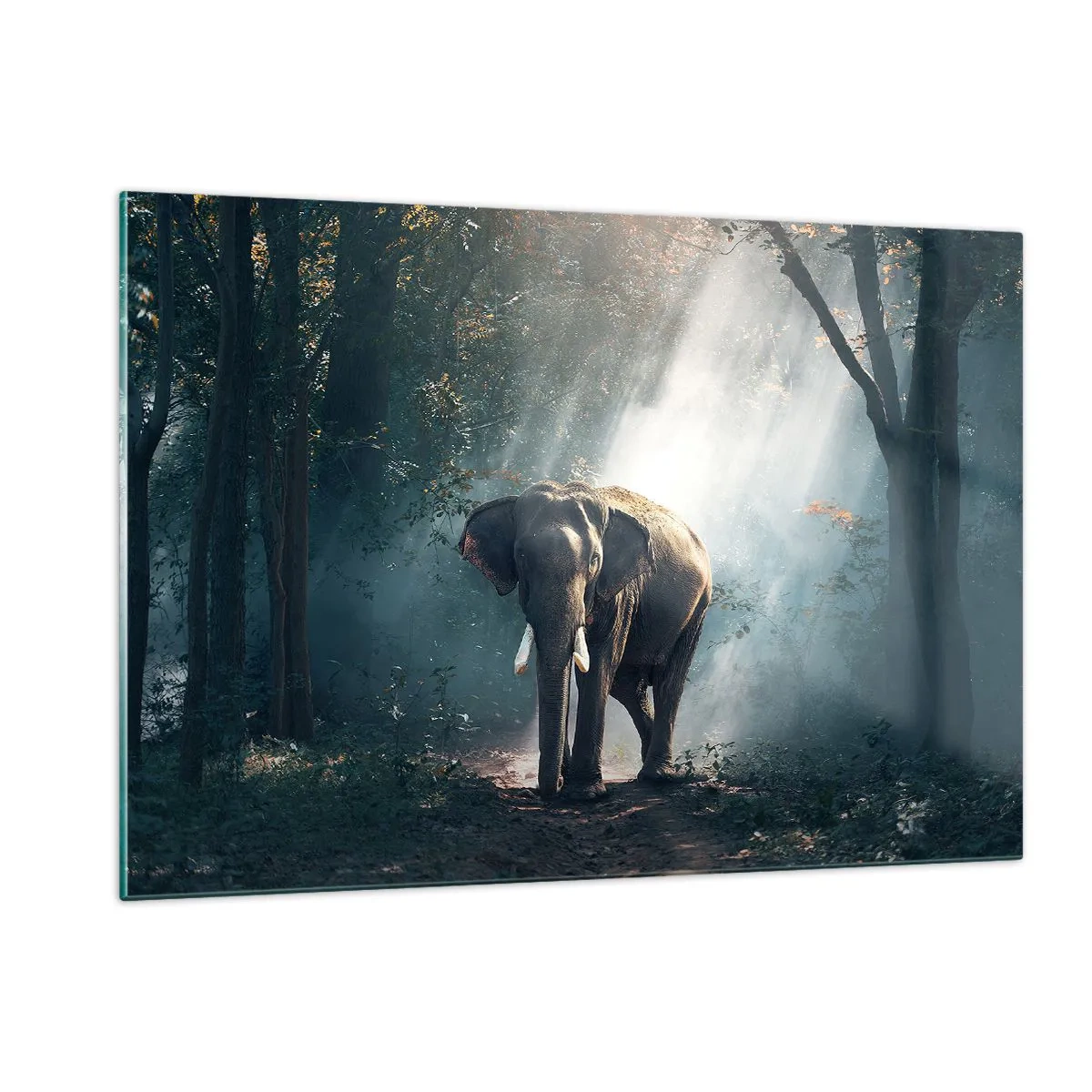 Quadro su vetro - Un elefante che cammina nella foresta mentre la luce del sole filtra tra gli alberi. - 120x80cm - Tranquilla passeggiata - Decorazione murale moderna per soggiorno e camera da letto ARTTOR