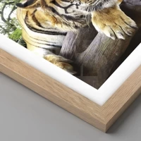 Rovere chiaro