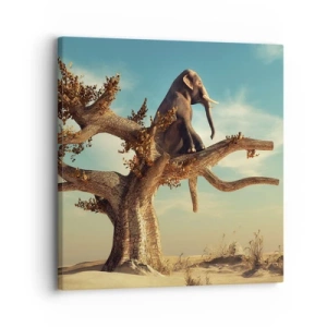 Quadro su tela - Stampe su Tela - Nuovo punto di vista - 30x30 cm