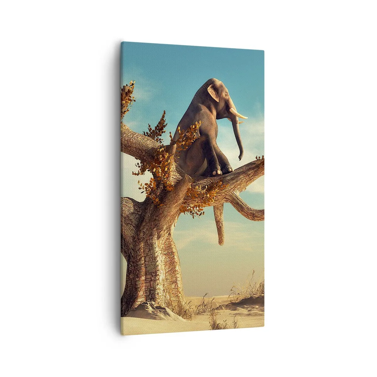 Quadro su tela - Stampe su Tela - Nuovo punto di vista - 55x100 cm