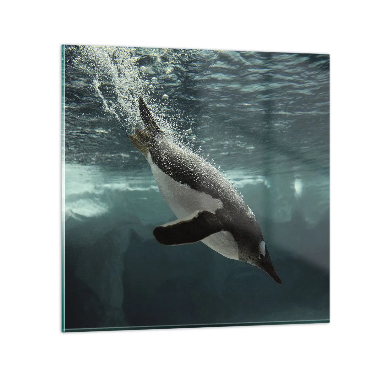 Quadro su vetro - Benvenuto nel mio mondo - 30x30 cm