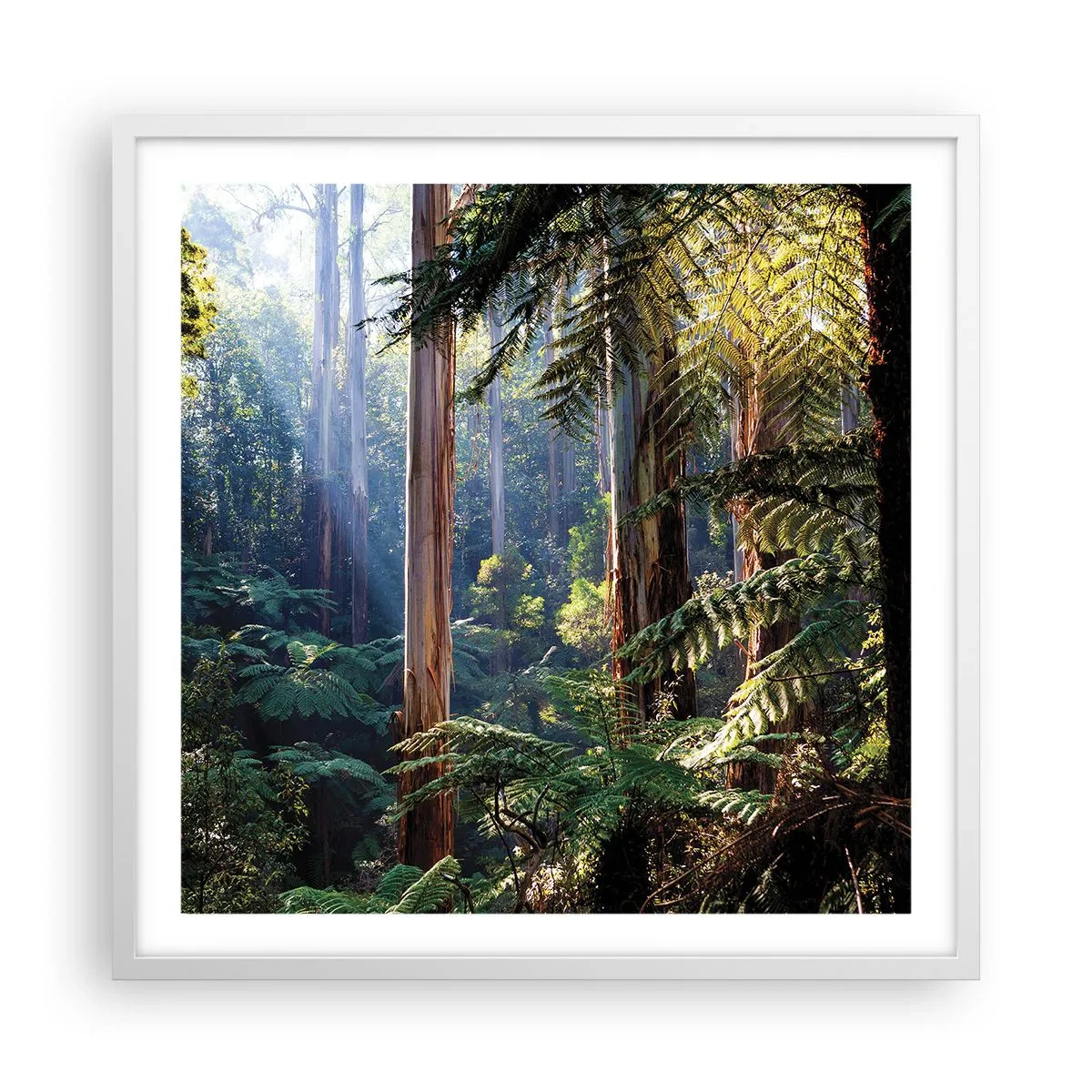 Poster in cornice bianca - La favola del bosco - 60x60 cm