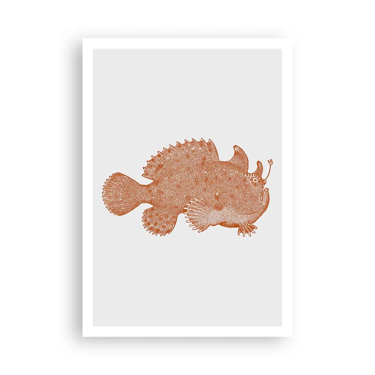 Poster - È davvero un pesce - 70x100 cm